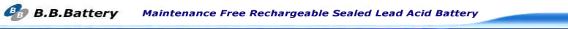 B.B. Battery Maintenance Free UPS replacement Sealed Lead Acid Batteries